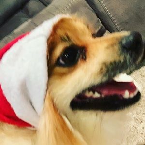 Meet your Posher, Nataly